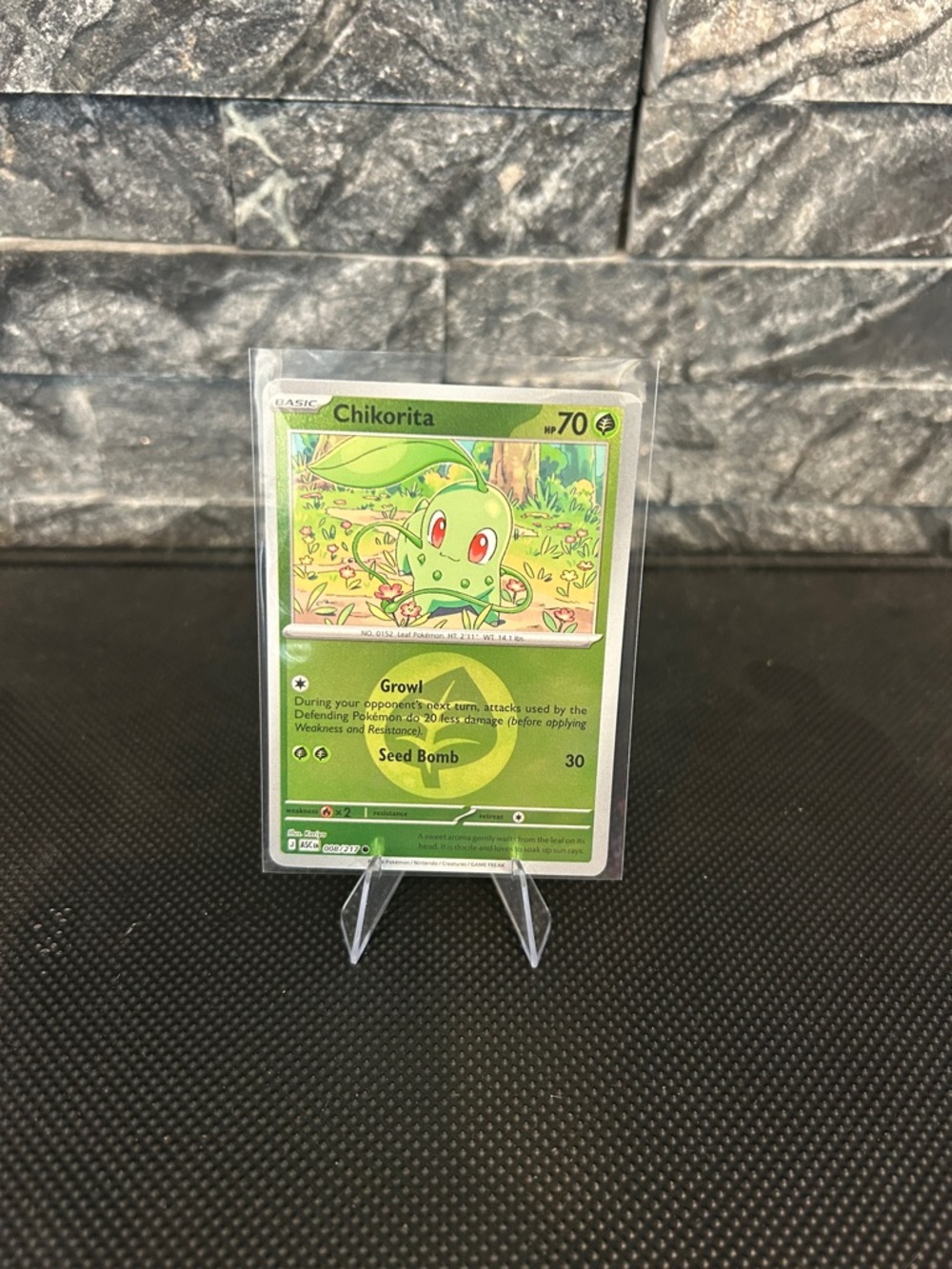 Pokemon Chikorita 008/217 Reverse Holo Rare from Ascended Heroes Set M/NM